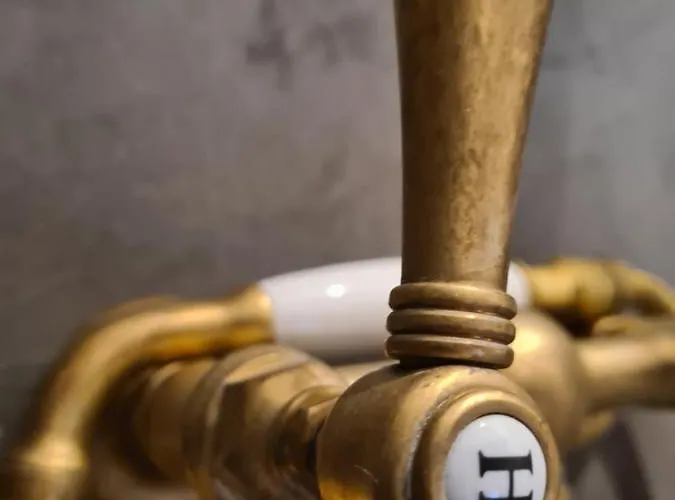 Georgina Опатия