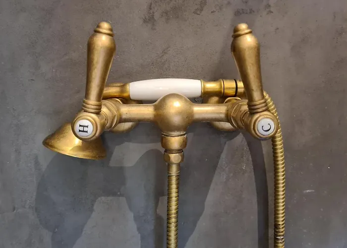 Georgina * אופטיה