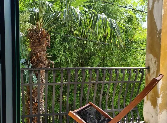 Georgina * אופטיה